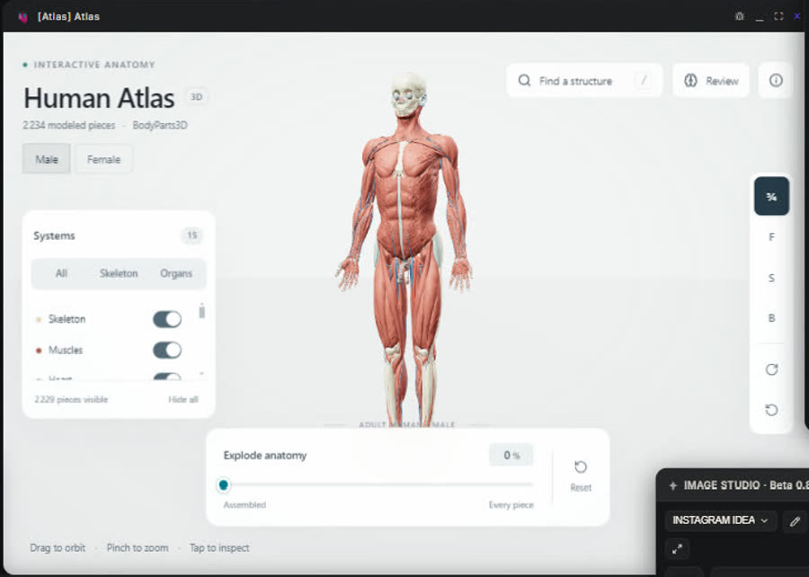 The anatomy atlas cartridge running inside Mnemosyne OS